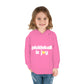 Pickleball is Joy Youth Kids Toddler Pullover Fleece Hoodie